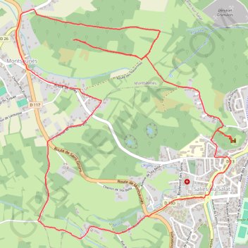 Itinéraire Salies-du-salat - Montsaunès, distance, dénivelé, altitude, carte, profil, trace GPS