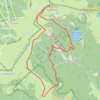 Itinéraire Du Hohneck au Kastelberg par les Spietzkoepfe et le Sentier des Névées, distance, dénivelé, altitude, carte, profil, trace GPS