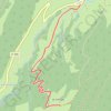 Itinéraire Randonnée raquettes "Le Cernay", distance, dénivelé, altitude, carte, profil, trace GPS